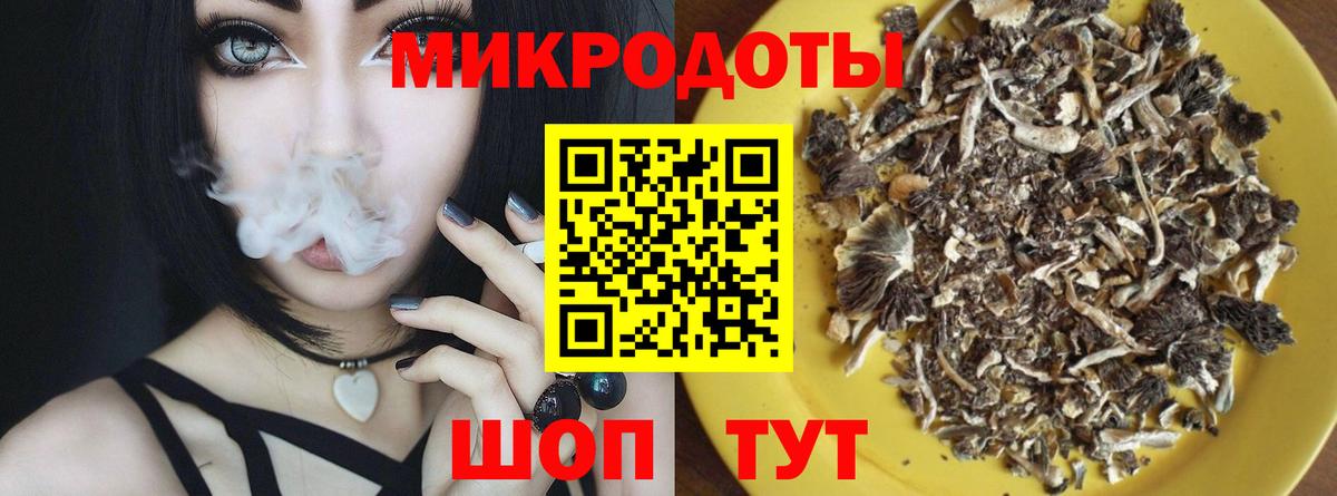 Иваново  Псилоцибиновые грибы Psilocybine cubensis  Вход с VPN 